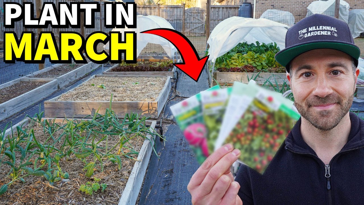 48 Vegetables You Can Plant This March Right Now