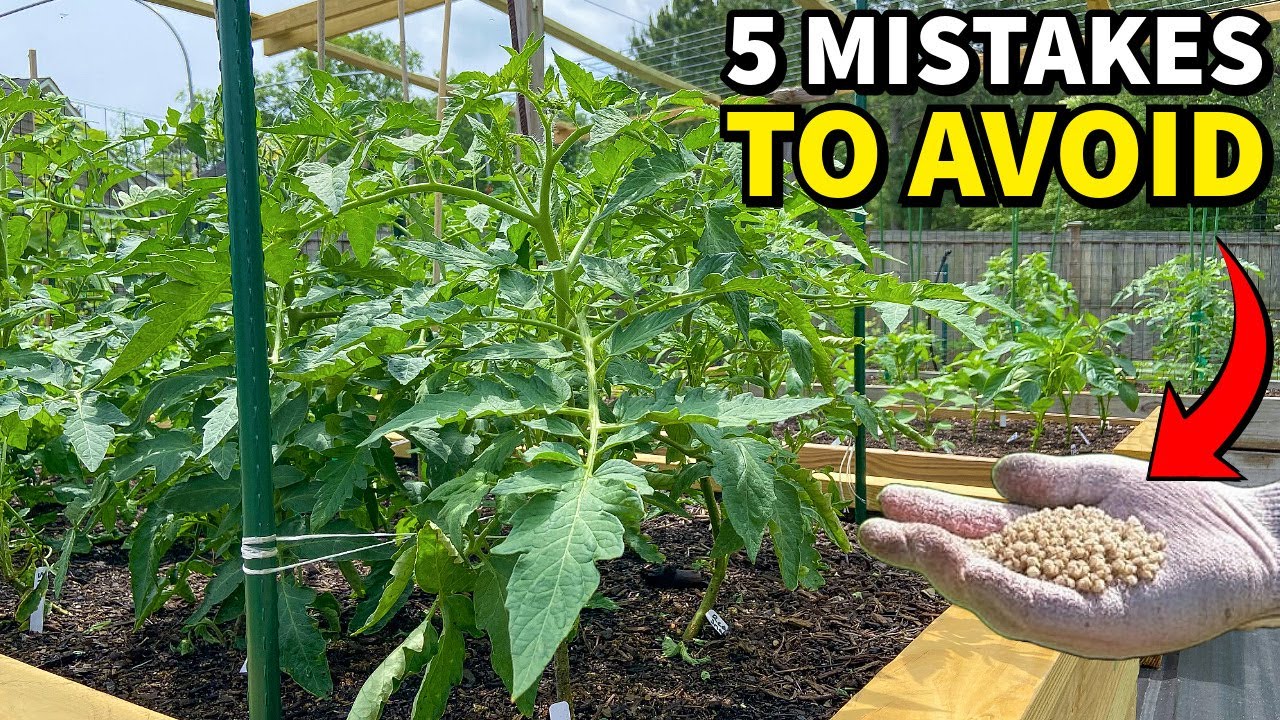 The 5 Worst Mistakes to Avoid When Fertilizing Your Garden