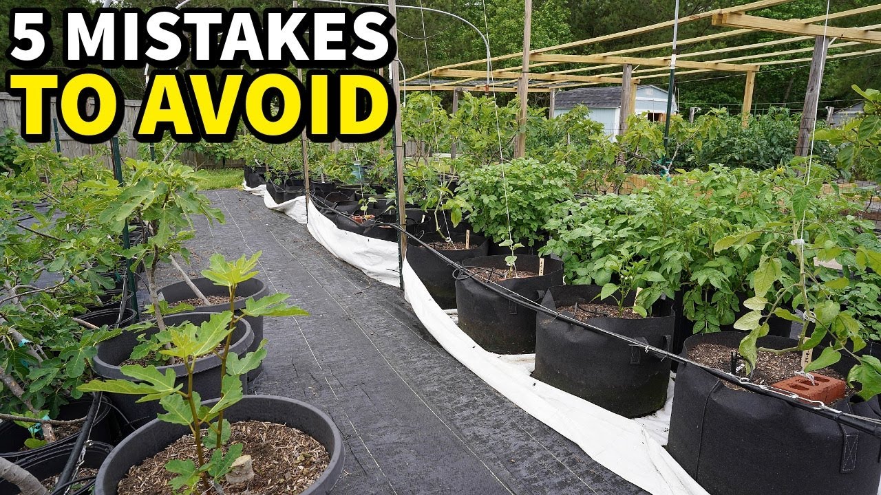 Top 5 Critical Mistakes to Avoid in Container Gardening