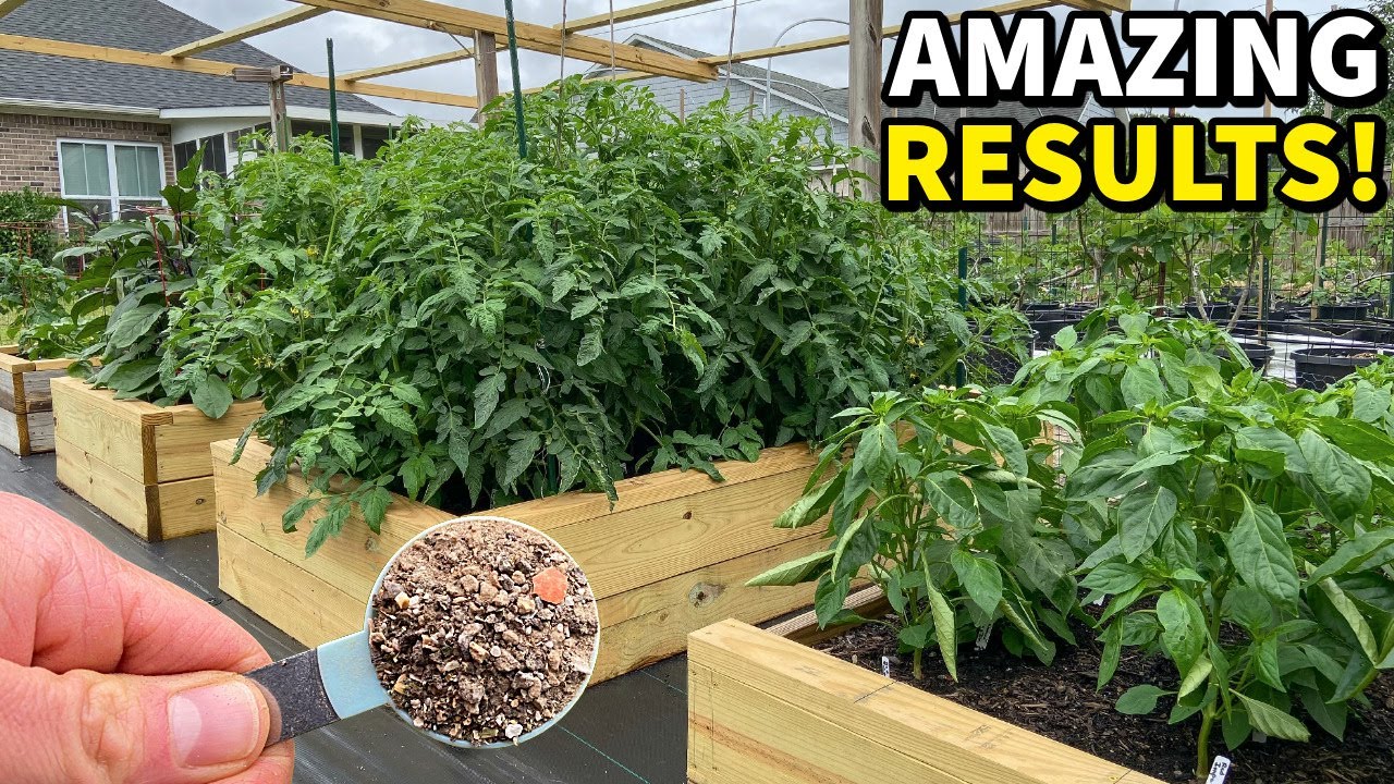 Enhance Your Garden with This Powerful Addition – Witness Your Plants Thrive!