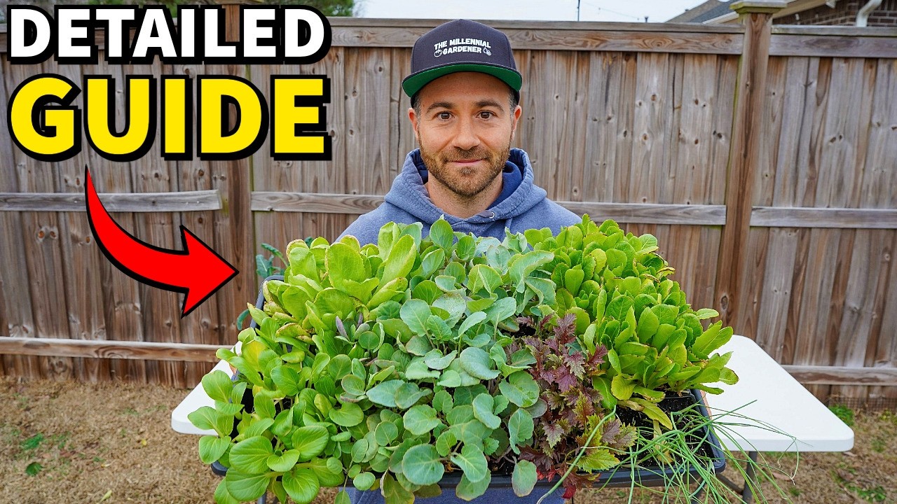 The Ultimate Complete Seed Starting Guide for Beginners: An In-Depth Tutorial