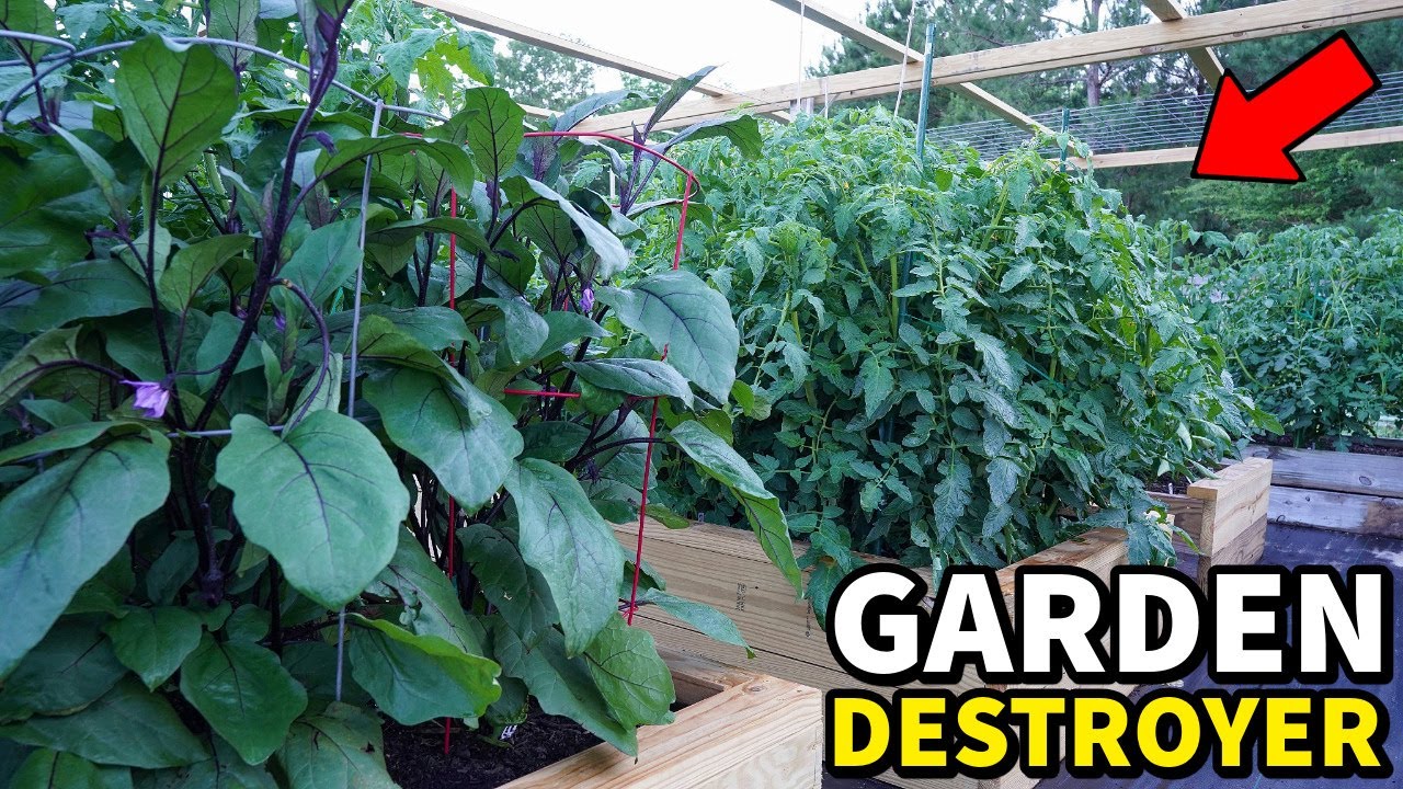 The One Thing That Will Always Ruin Your Garden