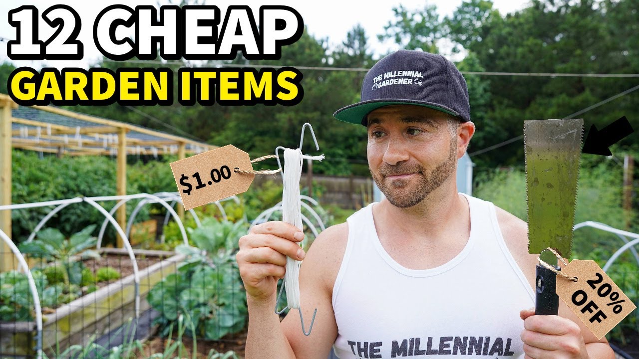 12 Cheap Purchases That ACTUALLY Improved My Garden