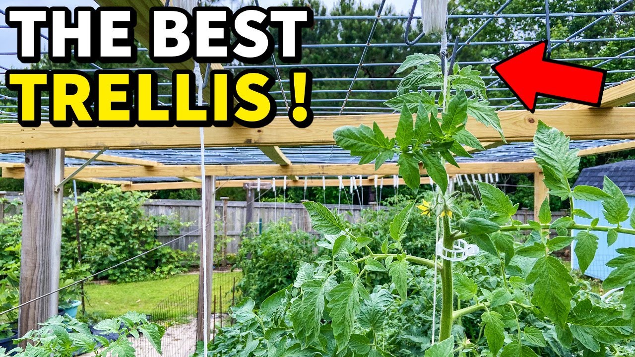 I Have Just Created the Ultimate Vegetable Garden Trellis