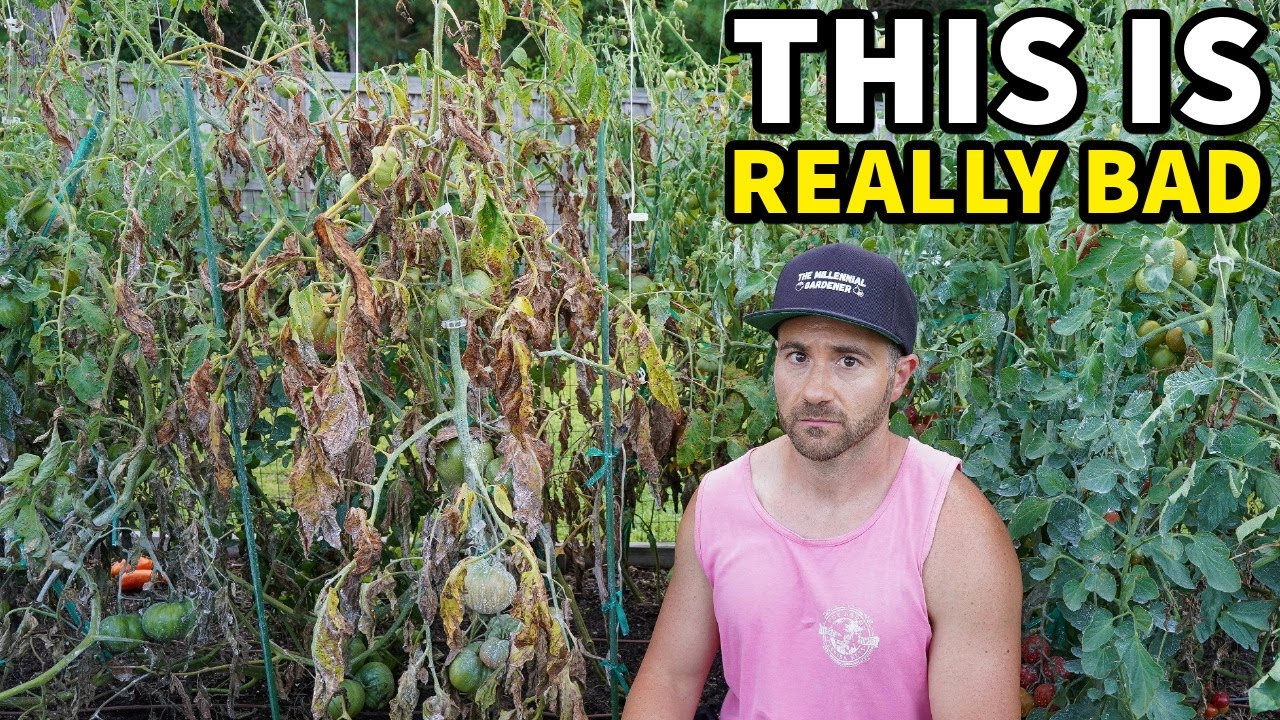 My Garden Is Ruined And EVERYTHING Is Dying!
