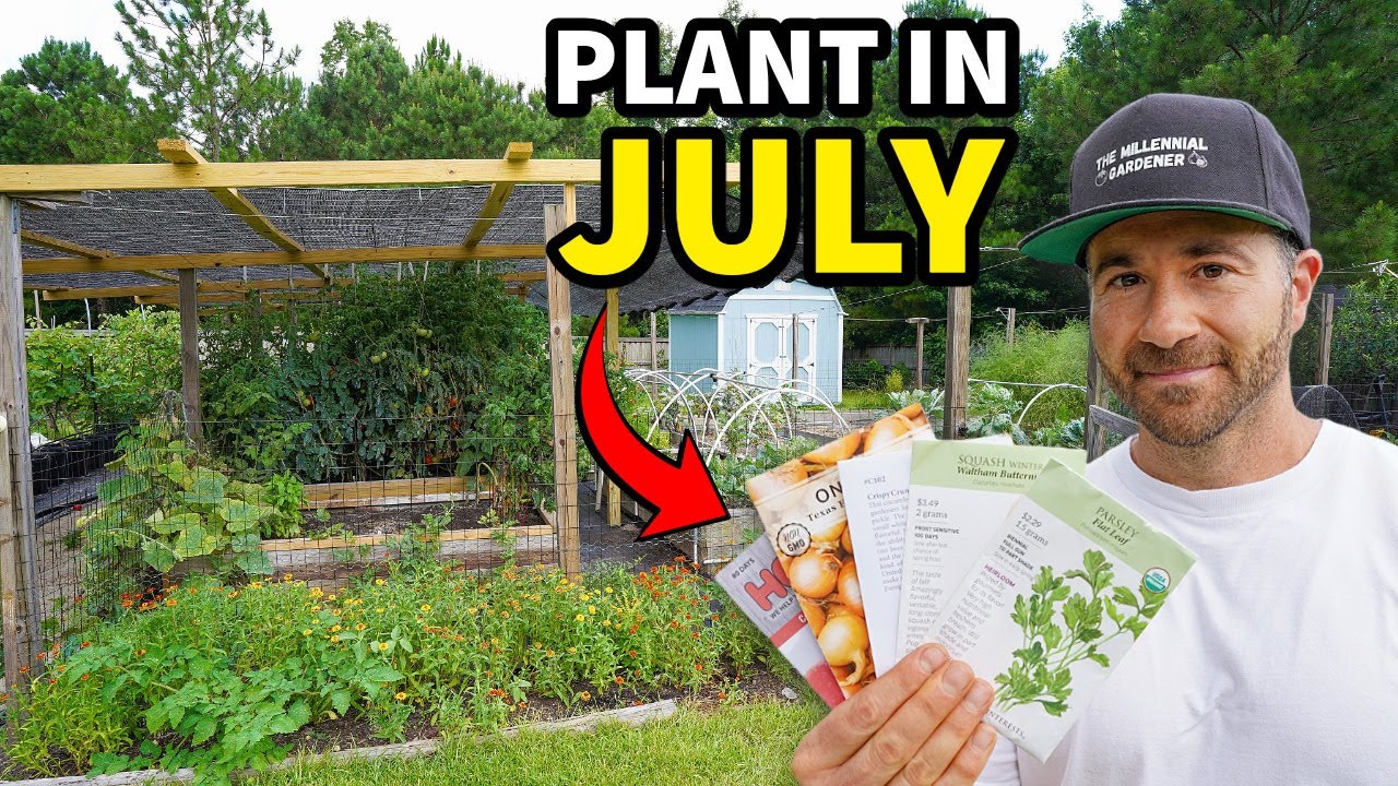 10 Essential Crops to Plant in July for a Bountiful Harvest