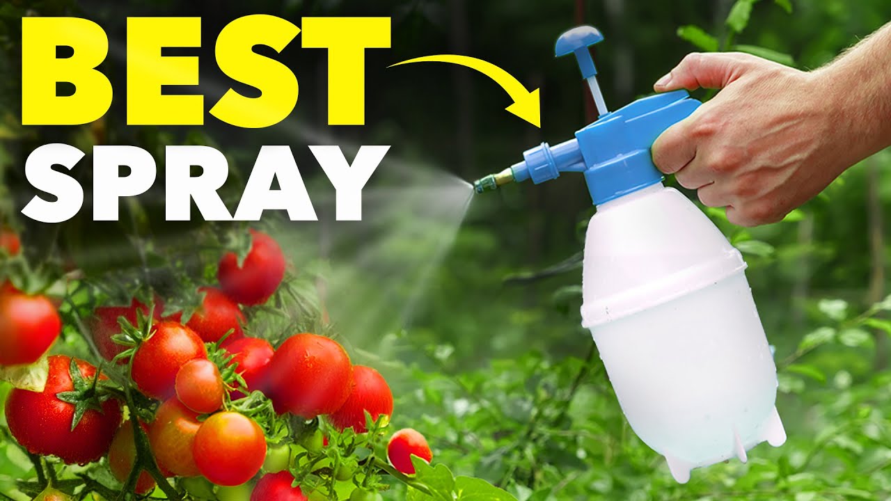 This ONE Spray is Every Smart Gardener's Secret Weapon