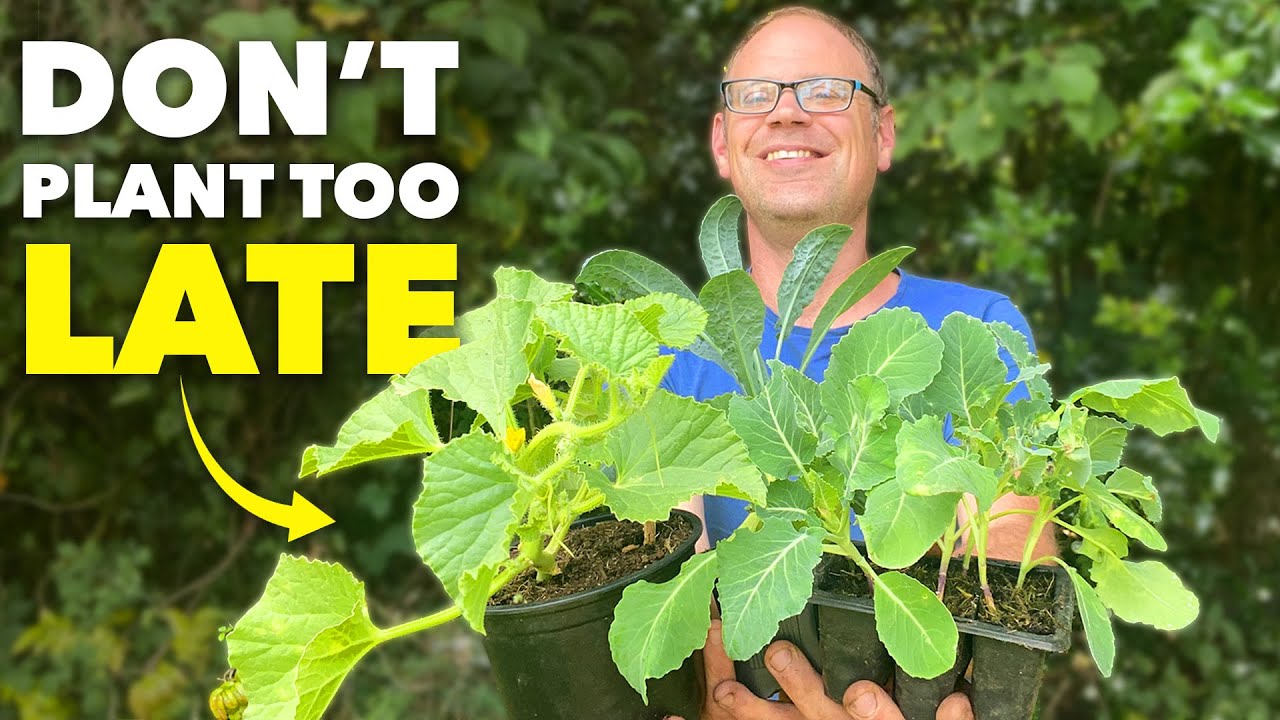 5 Crops You Can STILL Plant (Even in July)