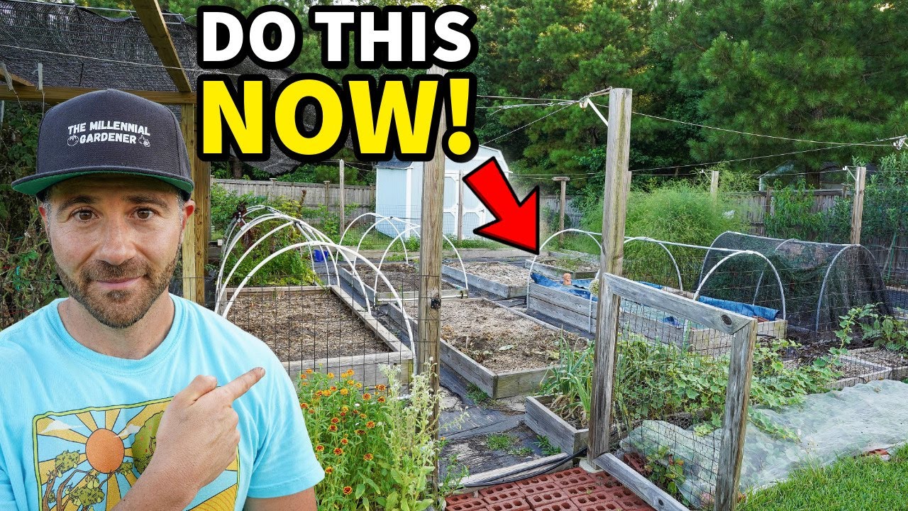 3 Essential Tips to Instantly Mega Boost the Growth of Your Garden