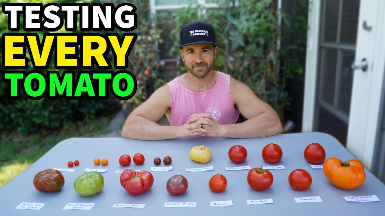 I Tried Every Tomato from My Garden and Was Left Speechless