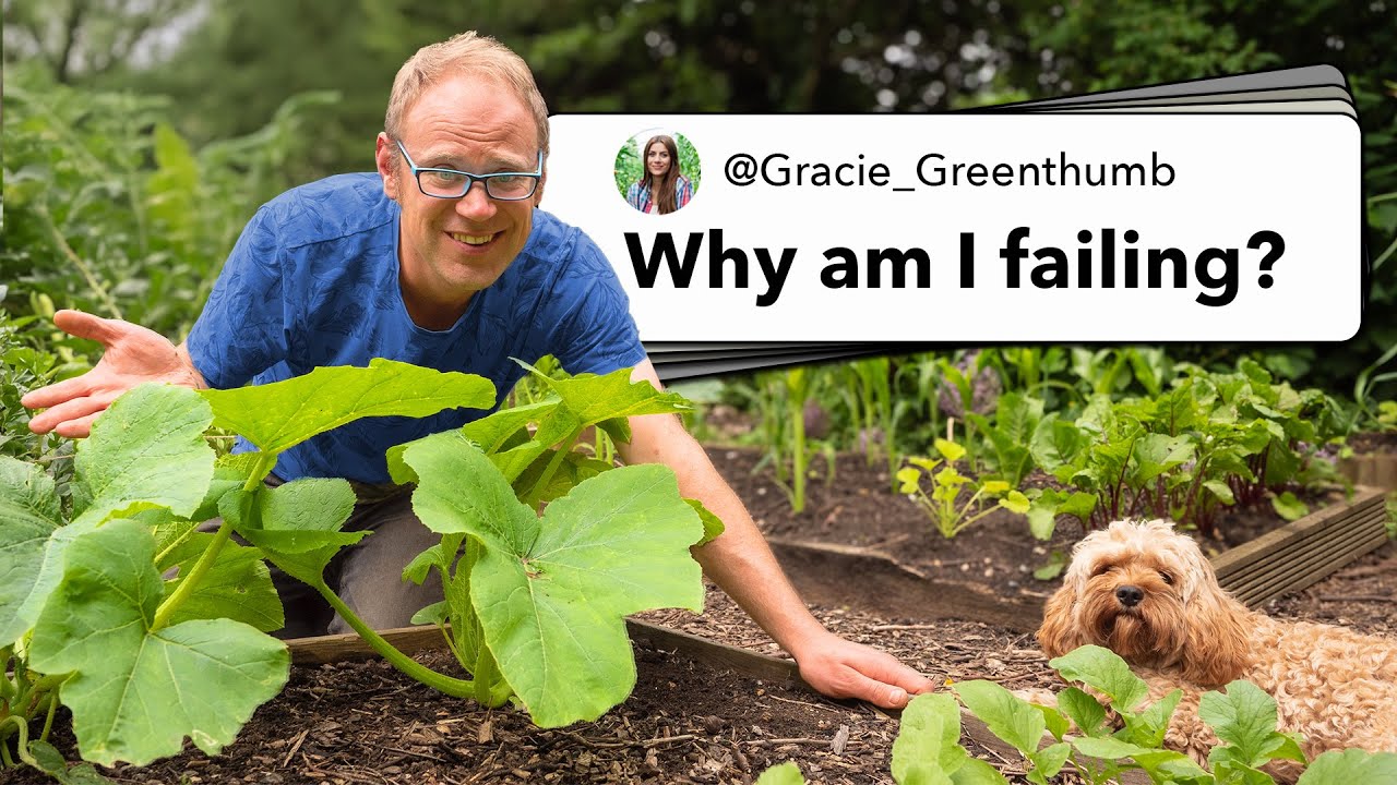 Answering Your Most Urgent Garden Questions (Expert Responds)