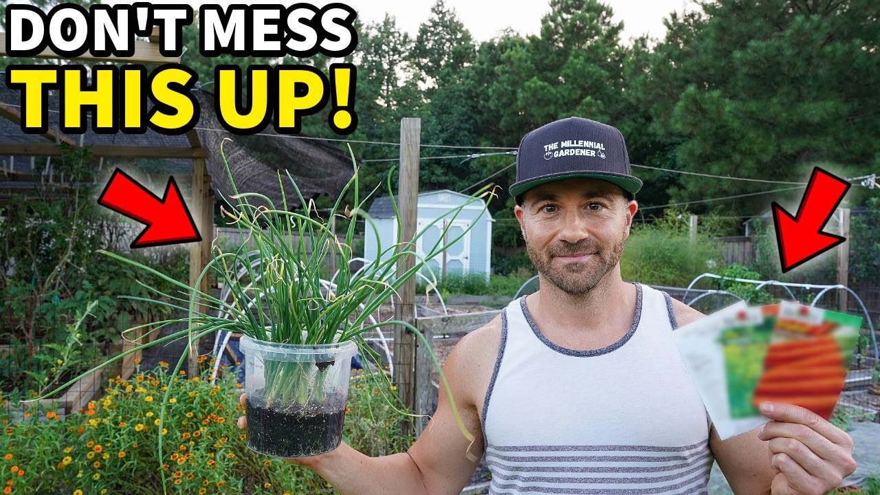 5 Amazing Crops You Should Never Fail to Grow
