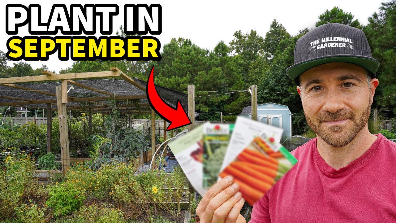 Plant These 10 Awesome Crops In September RIGHT NOW!
