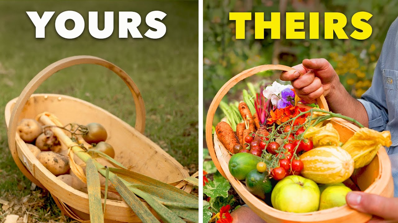 The Tragic Reason New Gardeners Lose 50% of their Crops