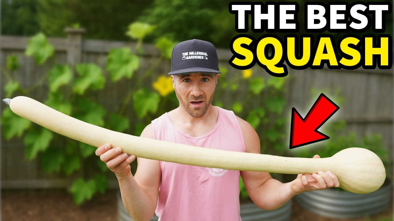 Discover the Secret Superfood: A Squash That Surpasses Zucchini and Is Rarely Cultivated