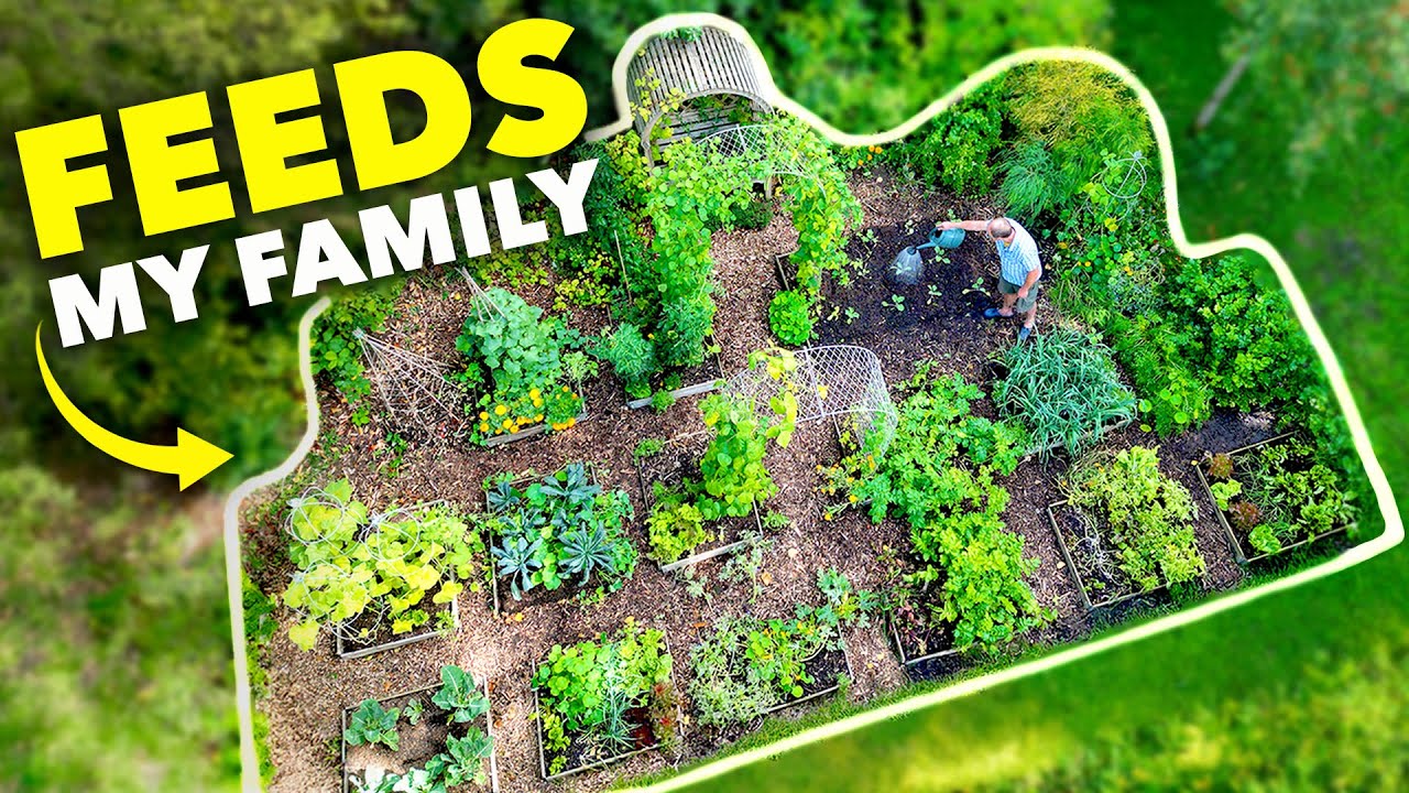 Is a 1/10 Acre Plot Sufficient to Sustain Your Food Needs? Discover What I Grew