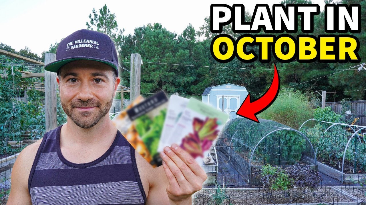 10 Amazing Crops to Plant Right Now in October