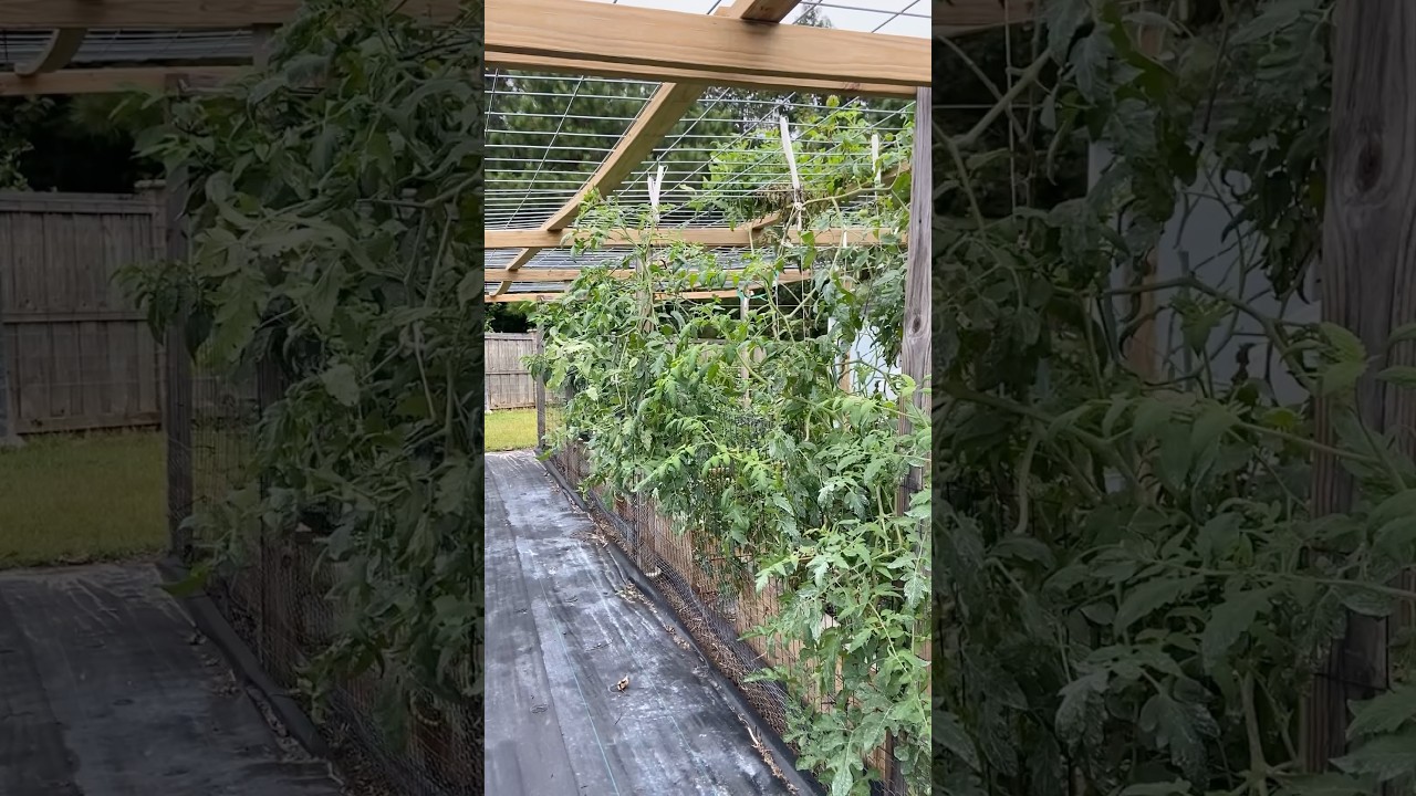 Summer Gardening Is NOW OVER!
