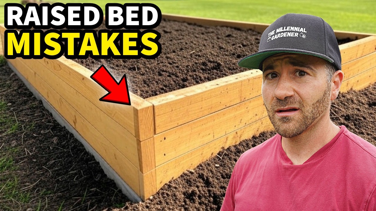 Garden Catastrophe! DO NOT Make These 3 Raised Bed Mistakes