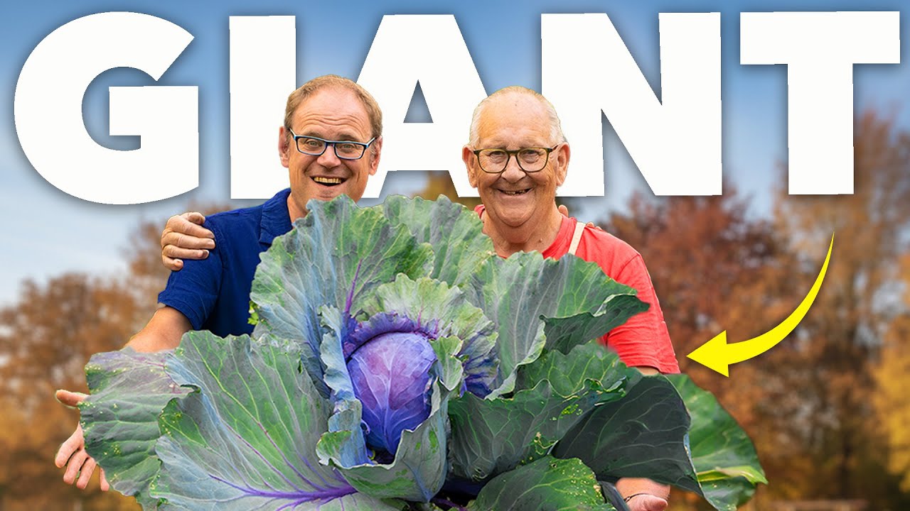 Discover How He Grew These Massive Vegetables