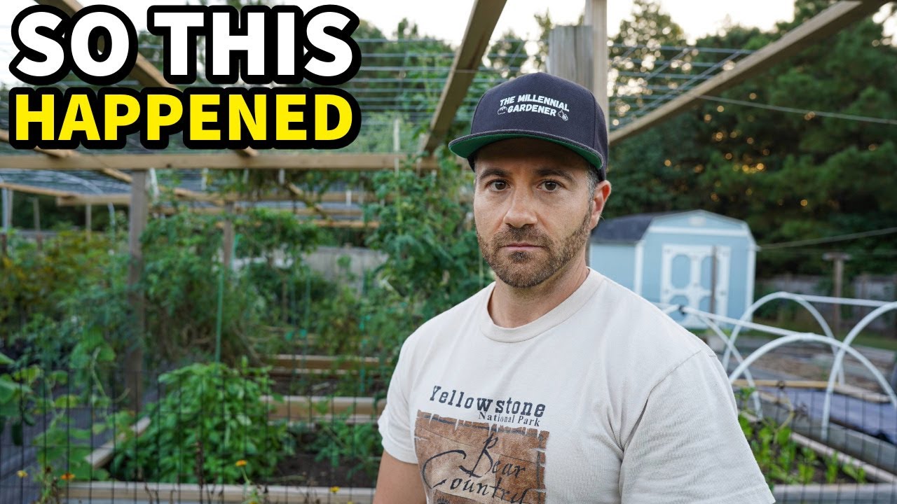 My Experience After Surgery: What You Need to Know