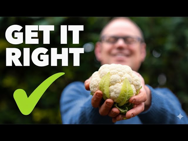 The Simplest Method to Grow Cauliflowers Successfully (Even After Past Failures)