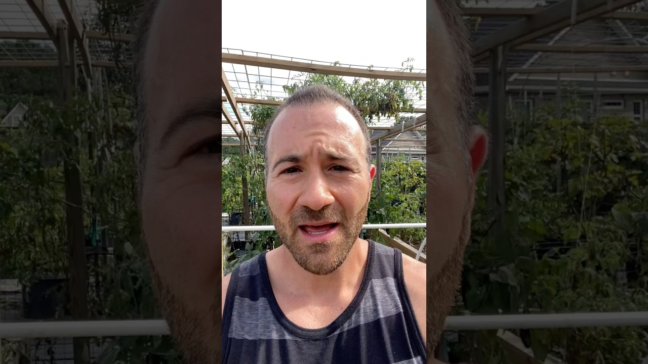 This Won’t Stop Me: My Journey Through Challenges and Triumphs