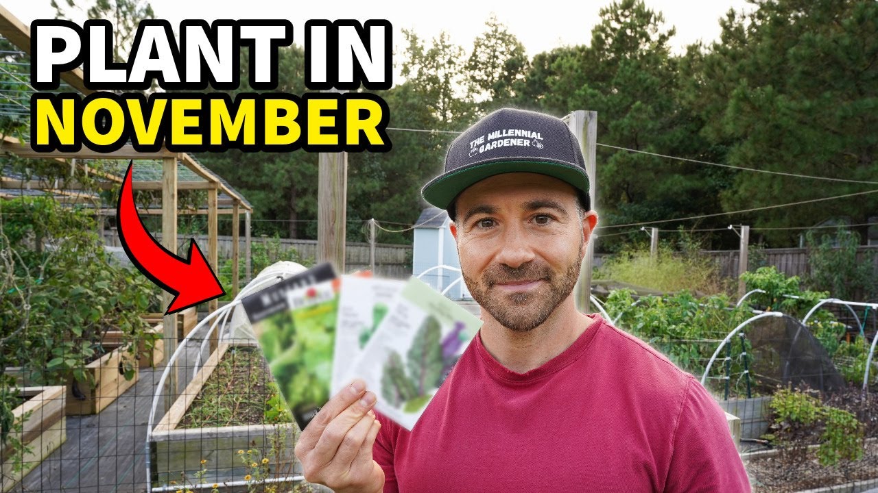 You'll Regret NOT Planting These 10 Crops In November RIGHT NOW!