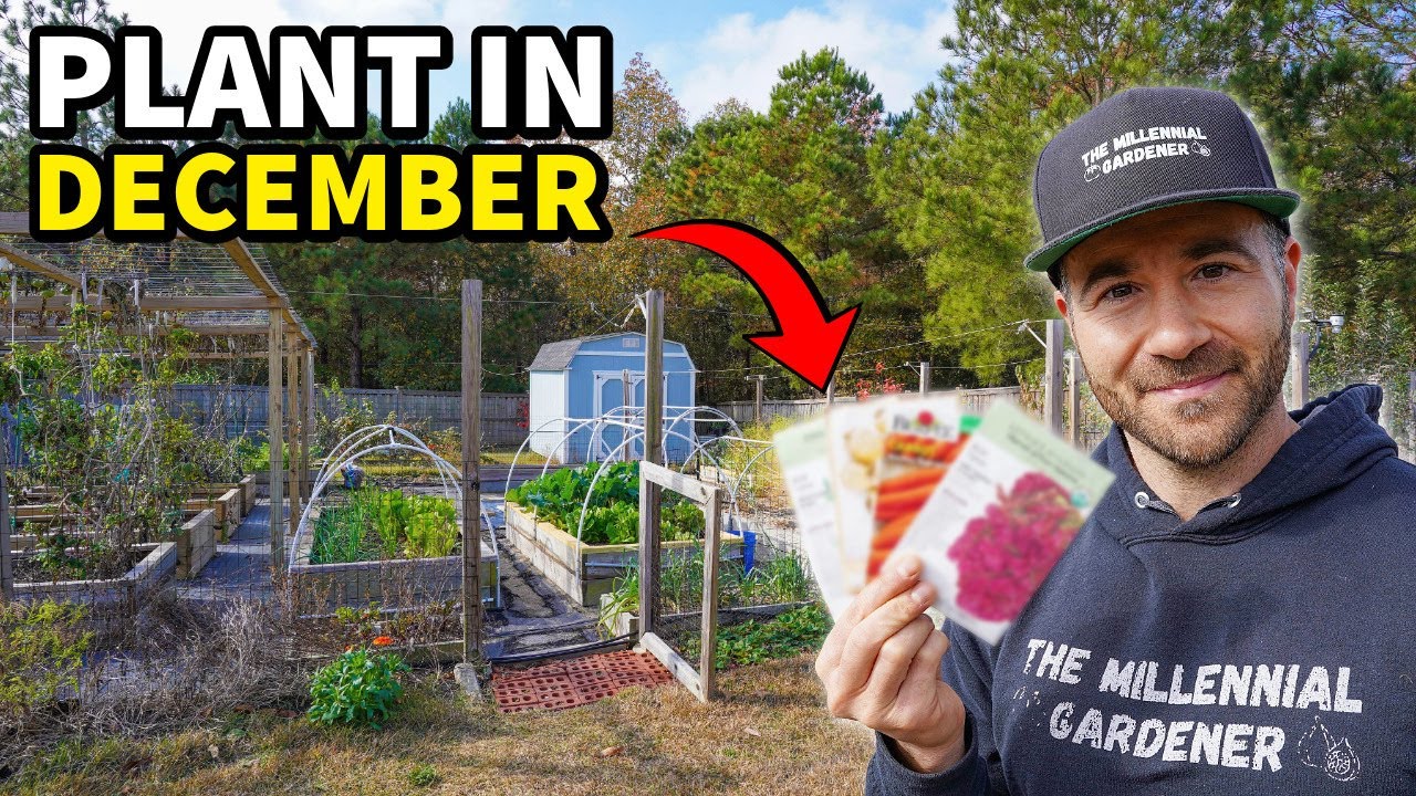 10 Vegetables You Must Plant This December to Avoid Regret Later