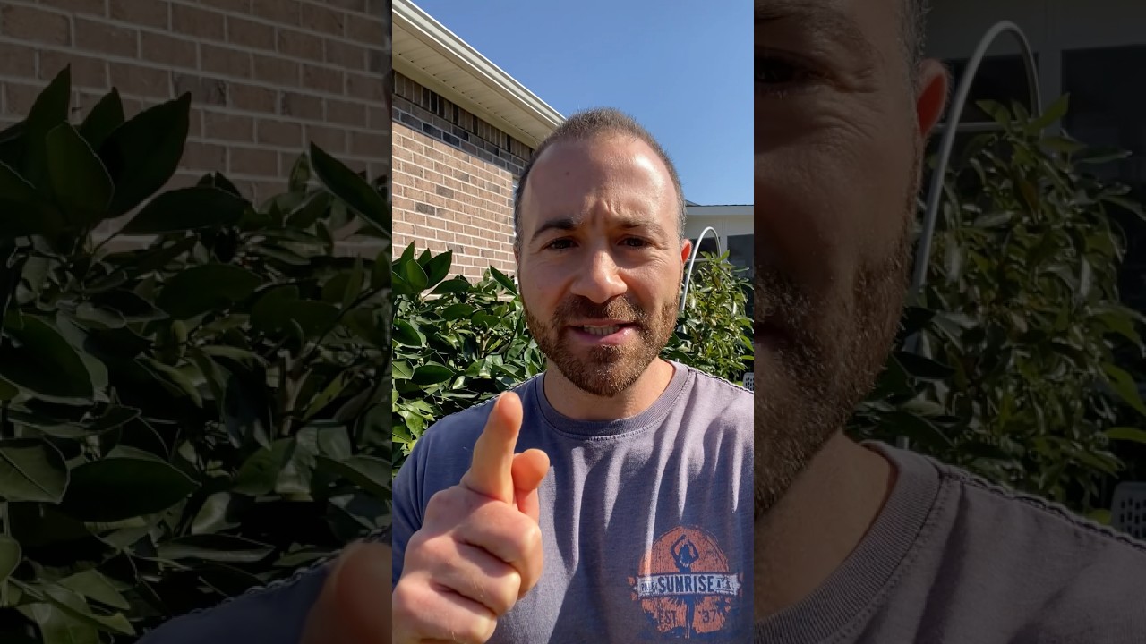 Warning: An Imminent Severe Cold Snap Is Coming — How to Prepare Now