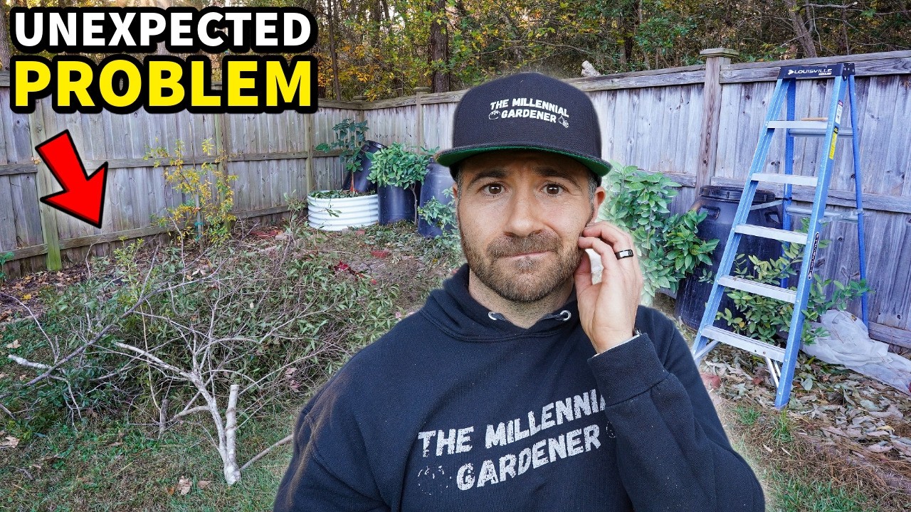 How My Garden Didn’t Turn Out as Planned: Lessons from a Bad Garden Design