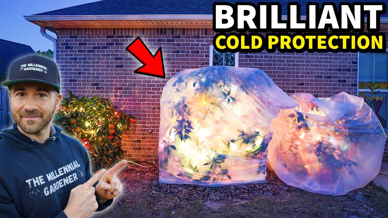 The Ultimate Guide to Protecting Your Plants from Cold Weather