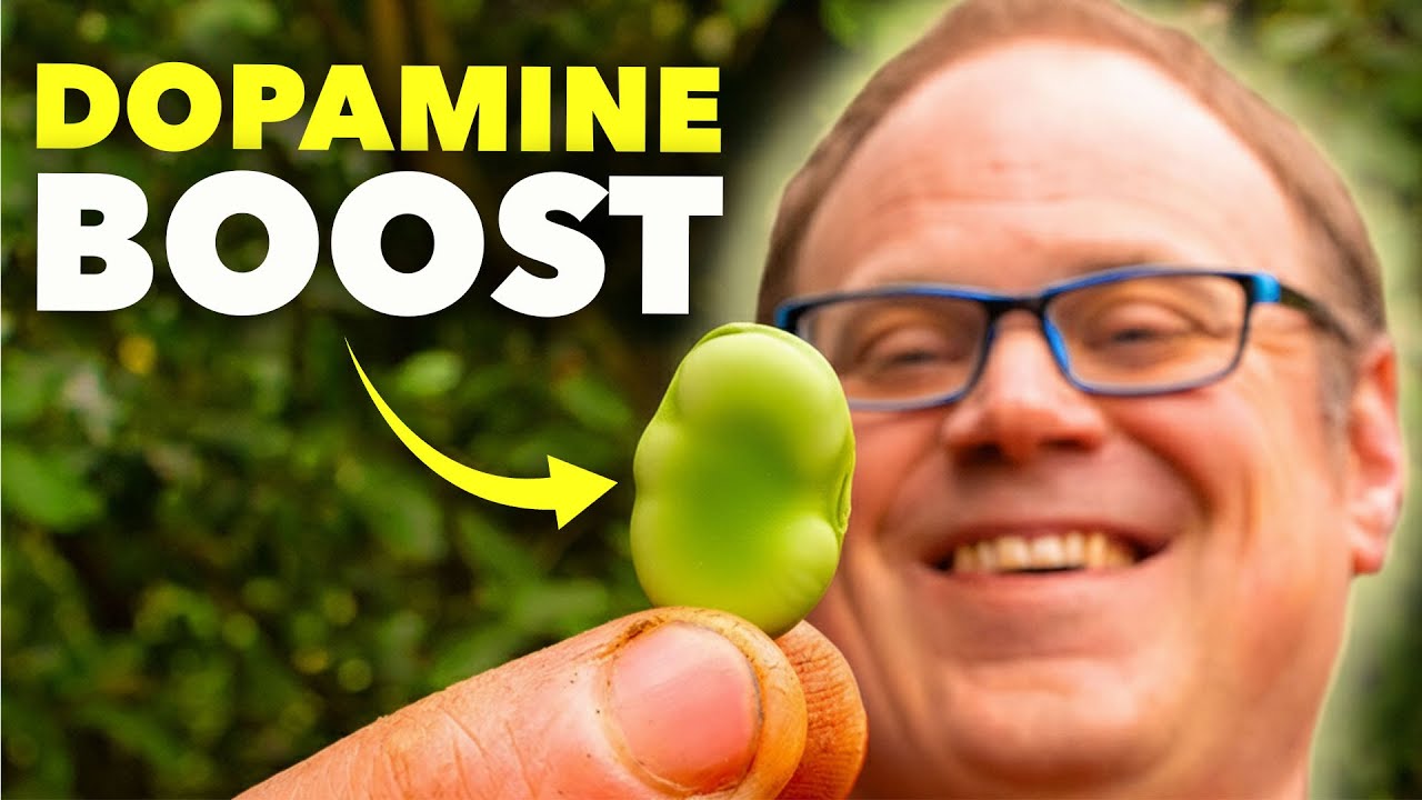 Discover This Ancient Anti-Depressant That Anyone Can Grow in Their Garden