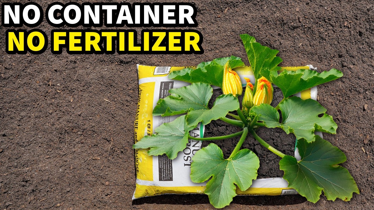 What Happens When You Grow Plants In A Bag Of Compost?