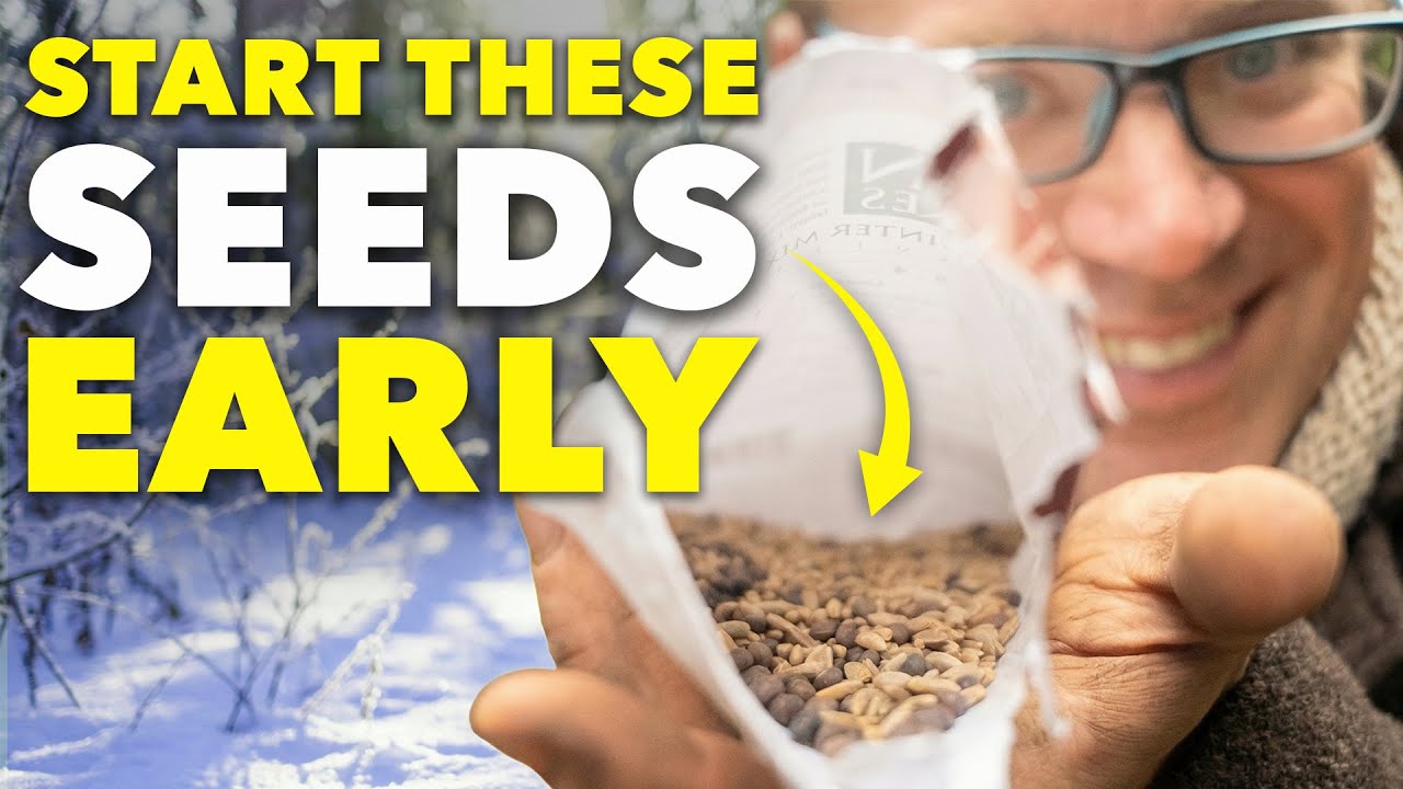 6 Super-Early Vegetables to Start in January