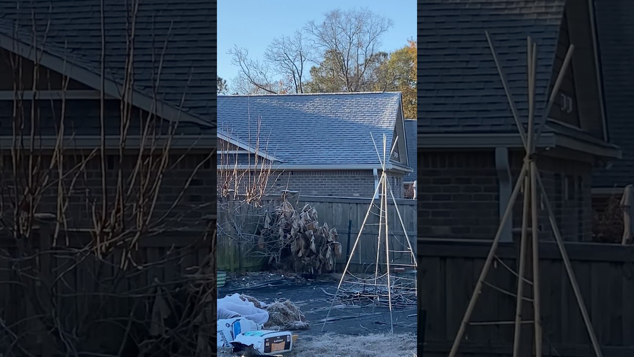 Cold Weather Gardening Tips I’ve Learned