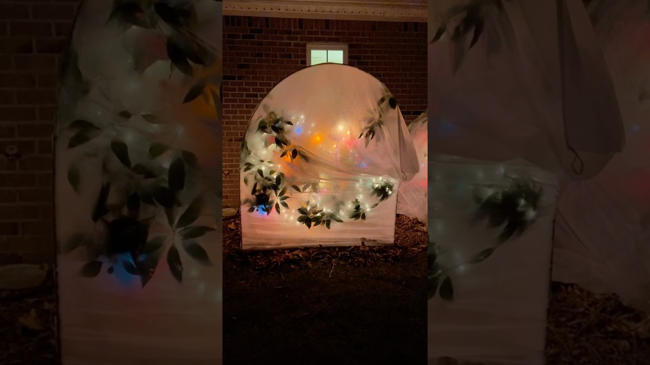 It Is Way TOO EARLY To Do This!!