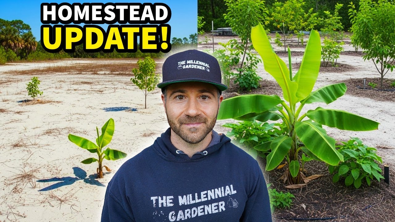 Major Homestead Update: An Exciting New Chapter Begins!