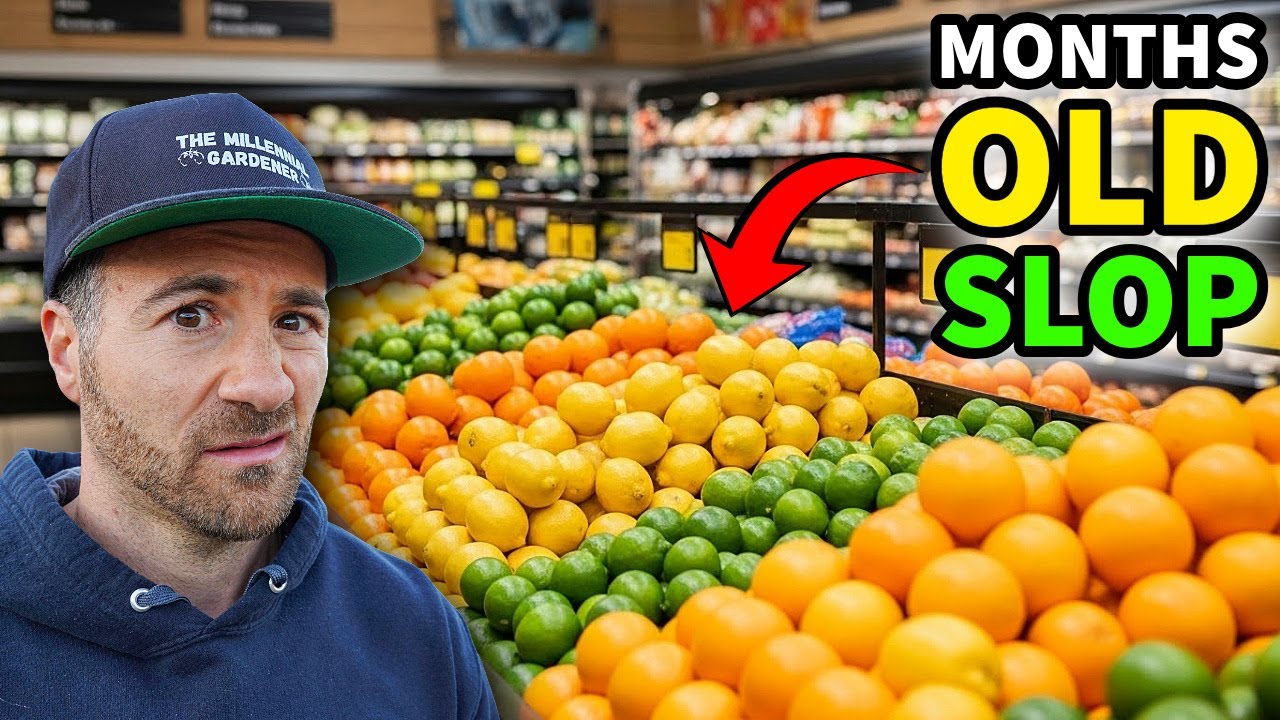 The Citrus Industry's Dirty Secret Will DISGUST And UPSET You!