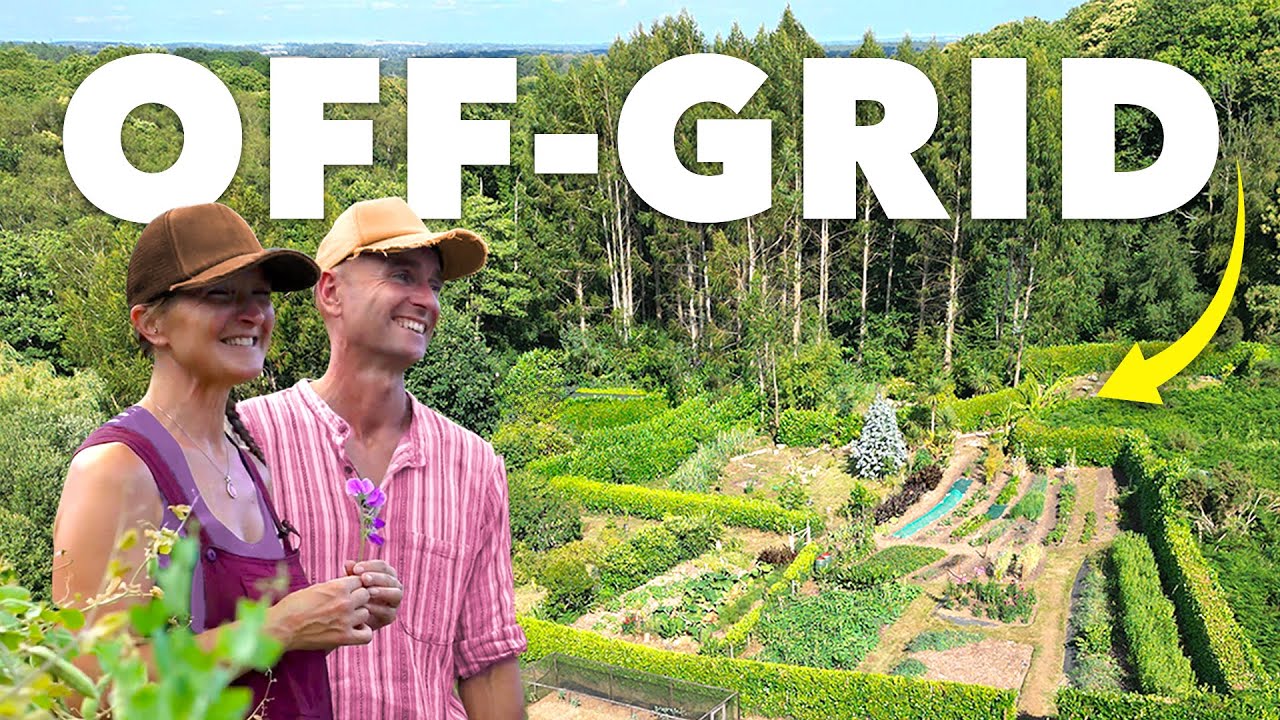 They Bought an Abandoned Plot and Grew THIS (80% Self-Sufficient)