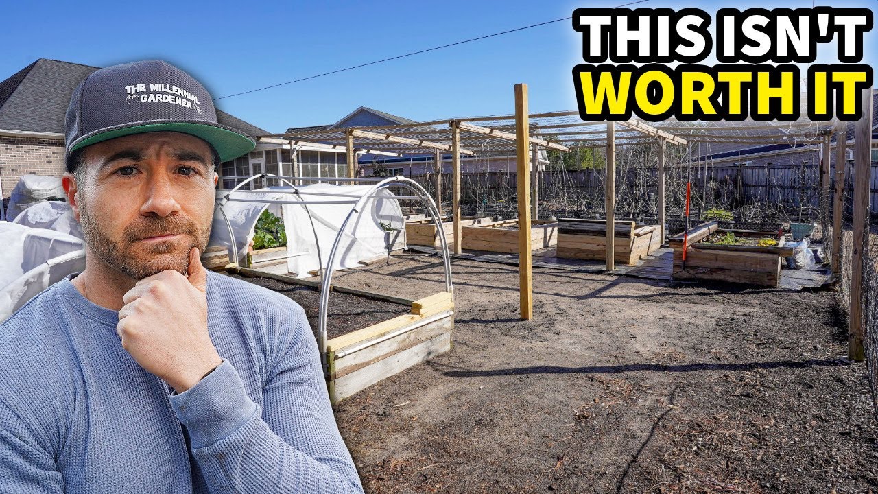 Four Reasons Why I Won’t Be Gardening in 2026