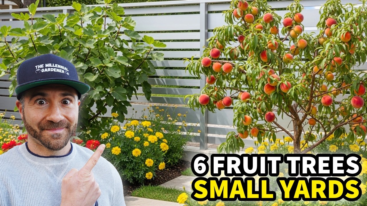 Maximize Your Small Yard with 6 Tiny Fruit Trees for BIG Harvests