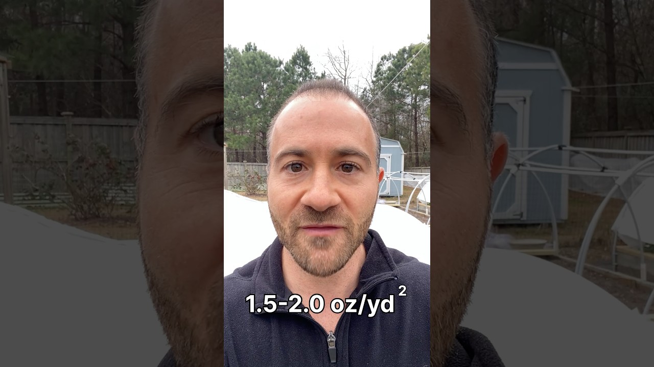 Preparing for a Challenging Finish to January