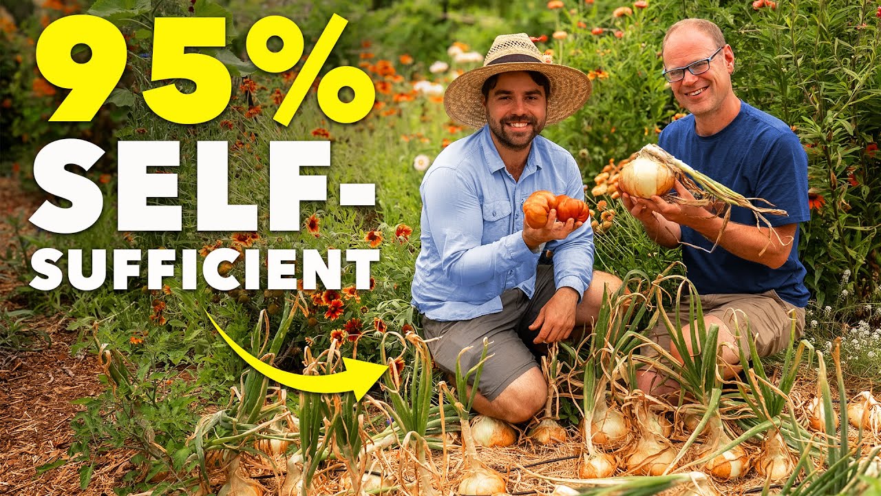 How He Sustains His Family with a Small Backyard Garden