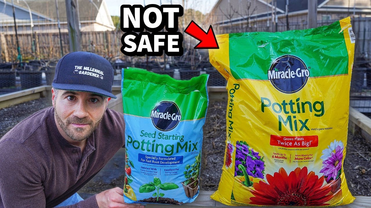 Why You Should Avoid Using Potting Soil to Start Your Seeds
