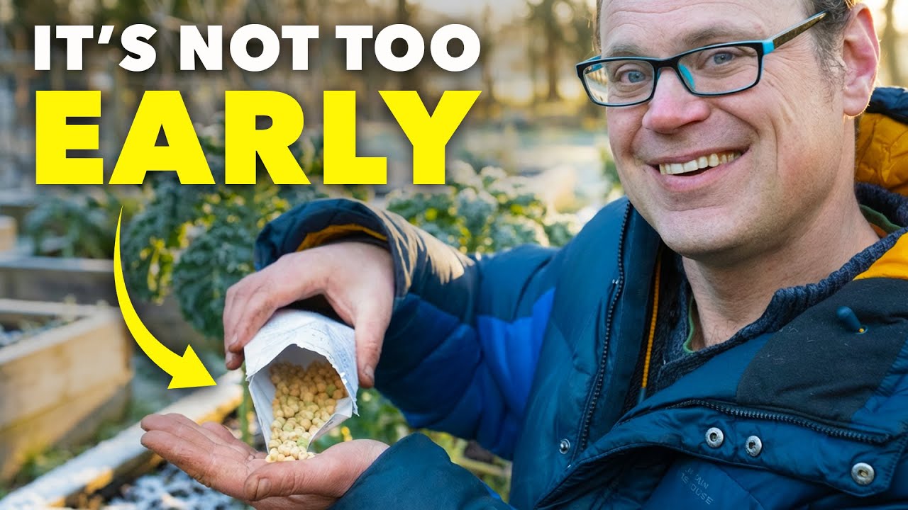 Smart Gardeners’ Guide: Best Seeds to Sow in February