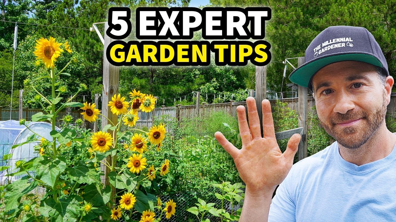 Five Expert Tips to Instantly Transform Your Garden This Year