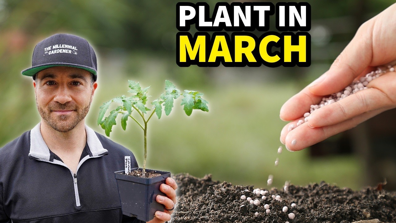 Why You Must Plant This in March Now or Regret It Later