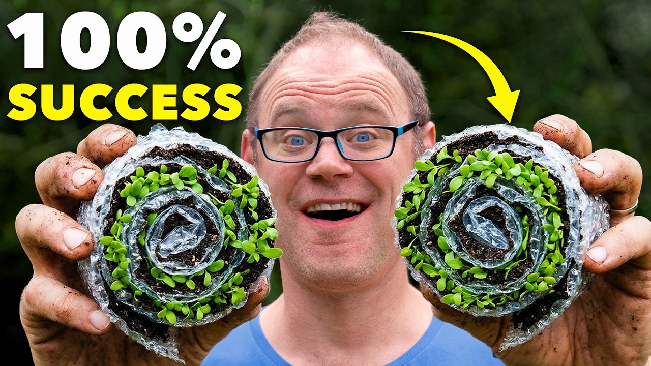 A Revolutionary Technique for Starting Seeds Successfully