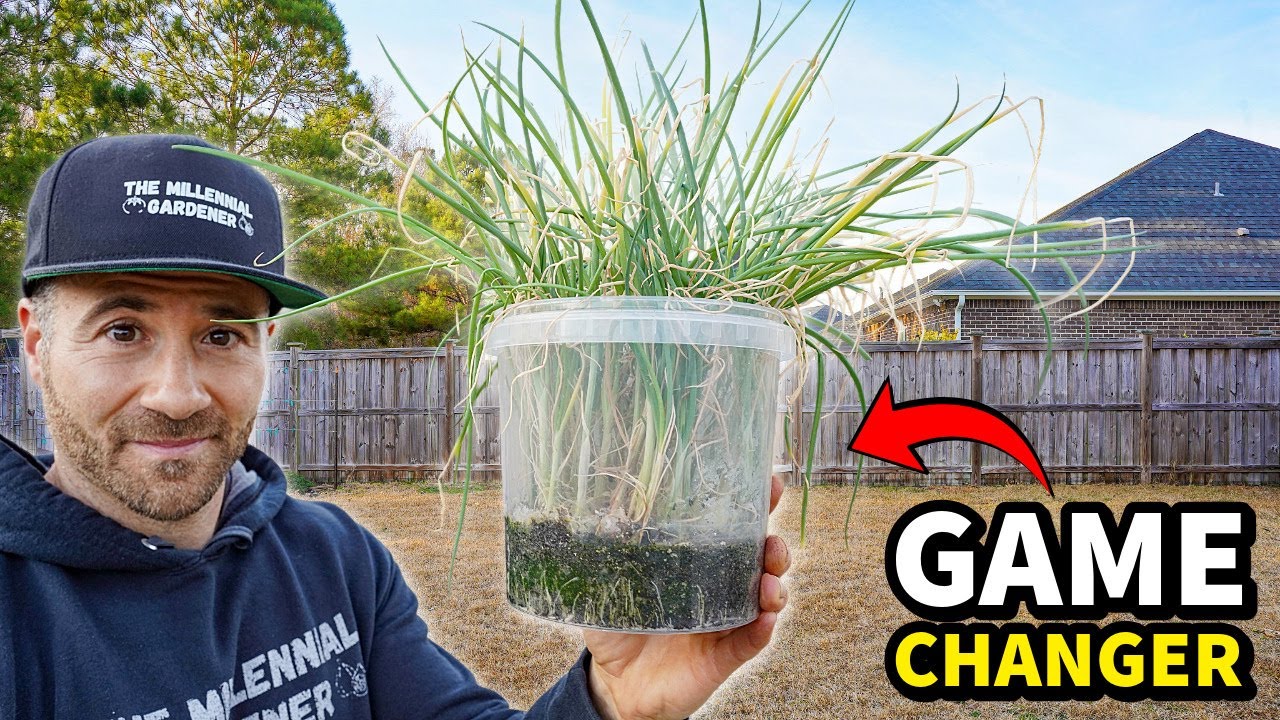 Discover These Free Containers That Will Transform Your Garden